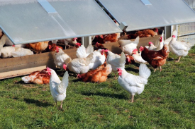 现代化规模；；；；臣巴涝准庸は钅靠尚行匝芯勘ǜ