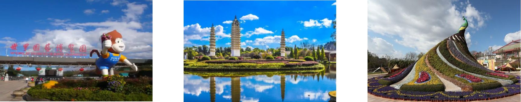 1xBET·Signup(中国区)-官方网站