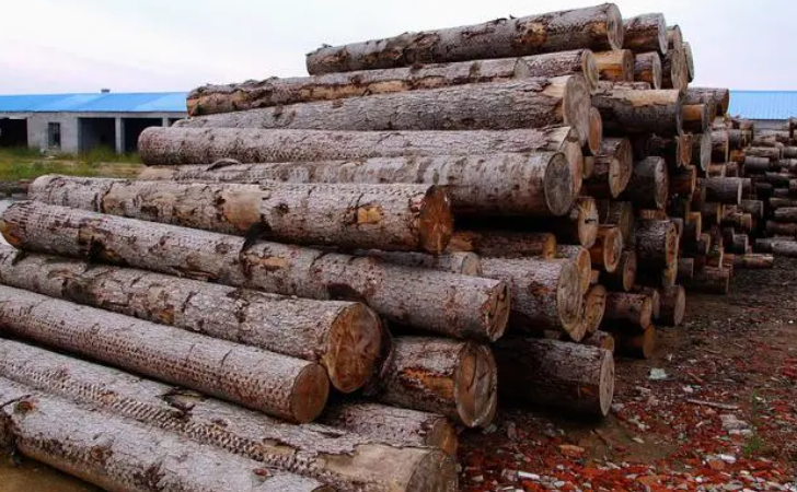 1xBET·Signup(中国区)-官方网站