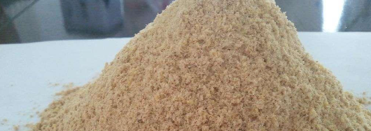 1xBET·Signup(中国区)-官方网站