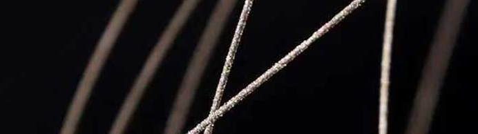 1xBET·Signup(中国区)-官方网站