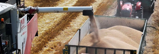 1xBET·Signup(中国区)-官方网站