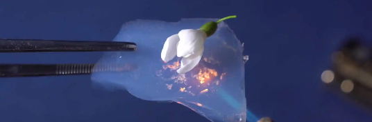 1xBET·Signup(中国区)-官方网站