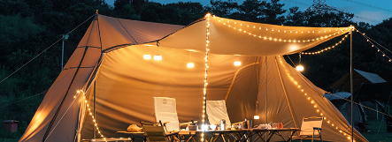 1xBET·Signup(中国区)-官方网站