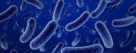 1xBET·Signup(中国区)-官方网站