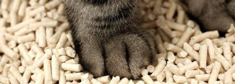 1xBET·Signup(中国区)-官方网站