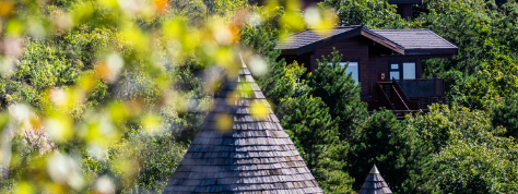 1xBET·Signup(中国区)-官方网站