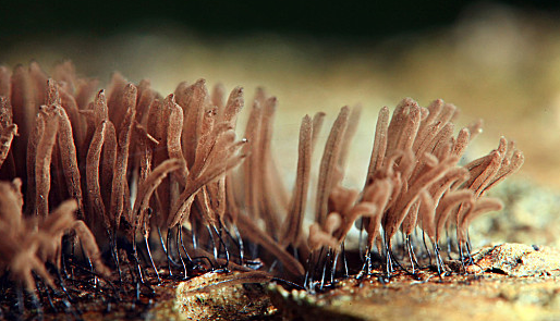 1xBET·Signup(中国区)-官方网站