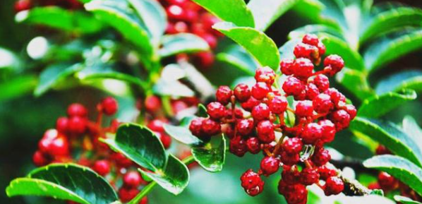 1xBET·Signup(中国区)-官方网站