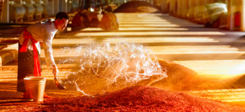 1xBET·Signup(中国区)-官方网站