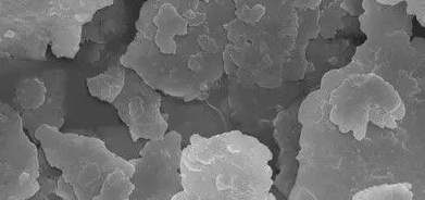 1xBET·Signup(中国区)-官方网站