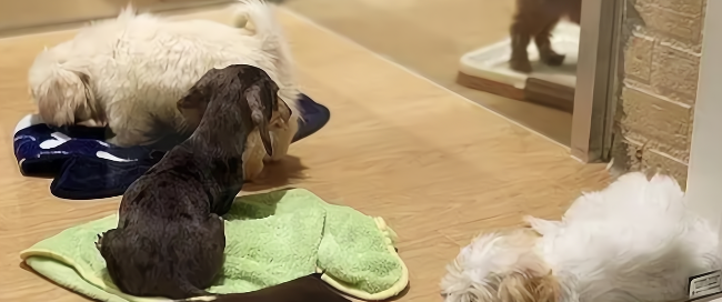 1xBET·Signup(中国区)-官方网站