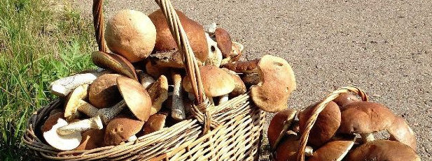 1xBET·Signup(中国区)-官方网站