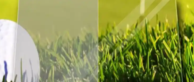 1xBET·Signup(中国区)-官方网站