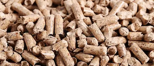 1xBET·Signup(中国区)-官方网站