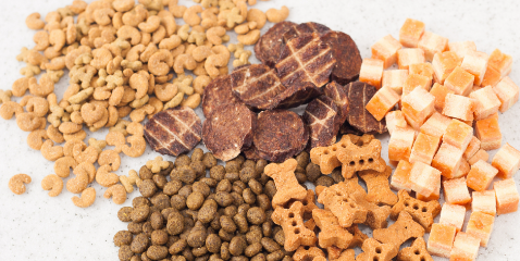 1xBET·Signup(中国区)-官方网站