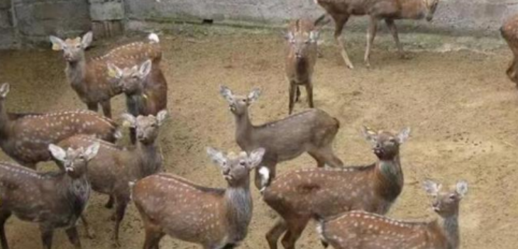 1xBET·Signup(中国区)-官方网站