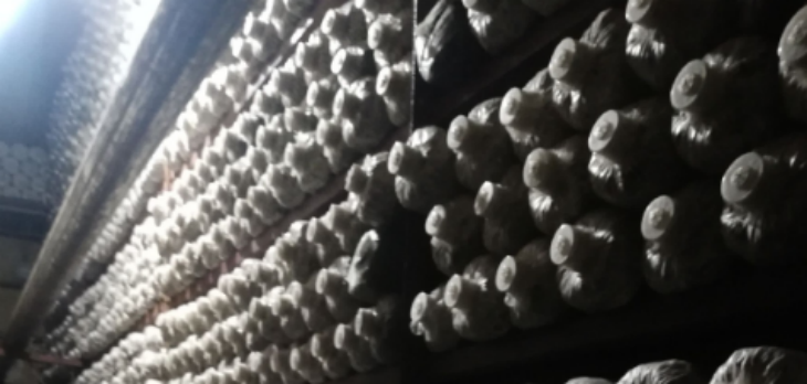 1xBET·Signup(中国区)-官方网站