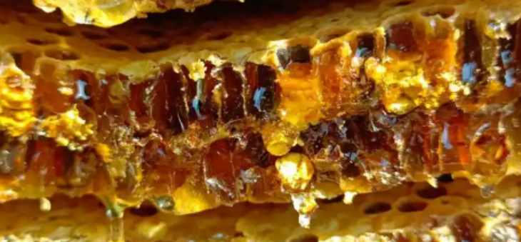 1xBET·Signup(中国区)-官方网站