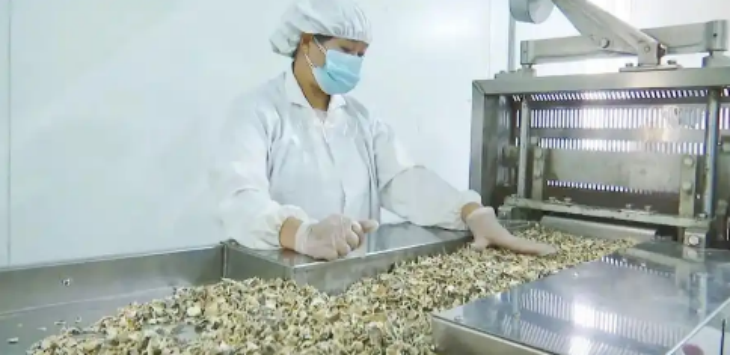 1xBET·Signup(中国区)-官方网站