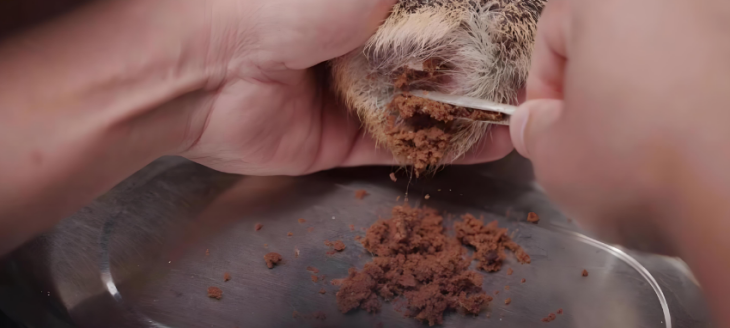 1xBET·Signup(中国区)-官方网站