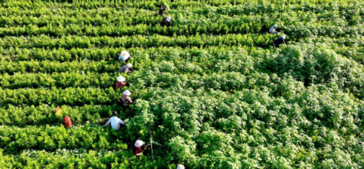 1xBET·Signup(中国区)-官方网站