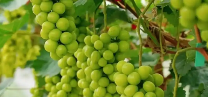 1xBET·Signup(中国区)-官方网站