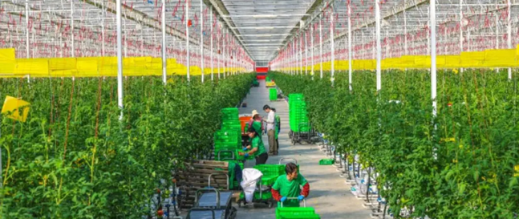 1xBET·Signup(中国区)-官方网站