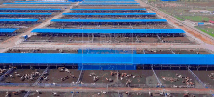 1xBET·Signup(中国区)-官方网站