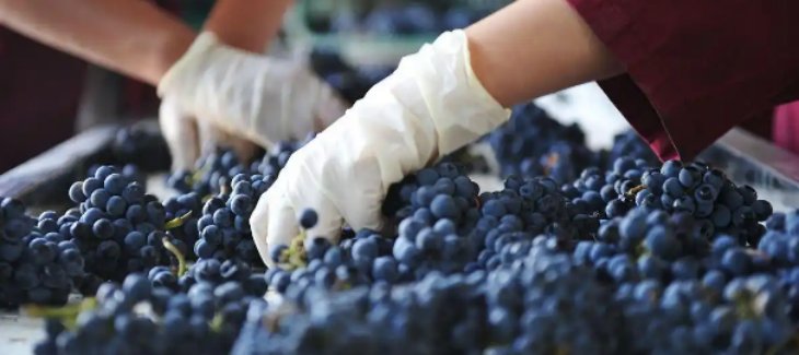 1xBET·Signup(中国区)-官方网站