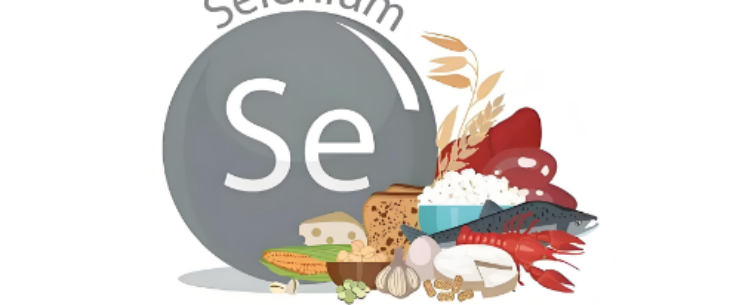 1xBET·Signup(中国区)-官方网站