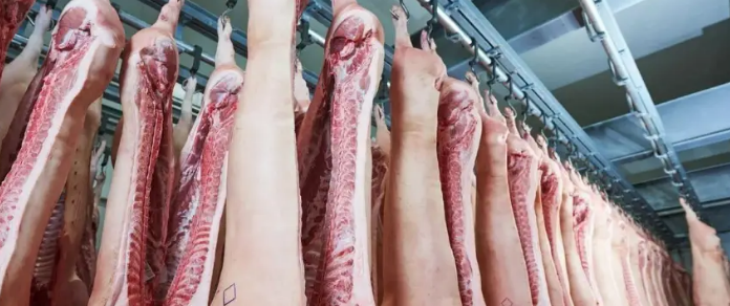 1xBET·Signup(中国区)-官方网站