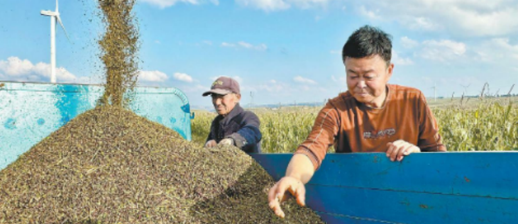 1xBET·Signup(中国区)-官方网站