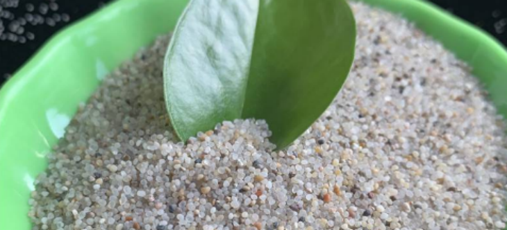 1xBET·Signup(中国区)-官方网站