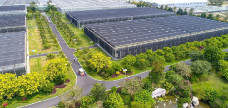 1xBET·Signup(中国区)-官方网站