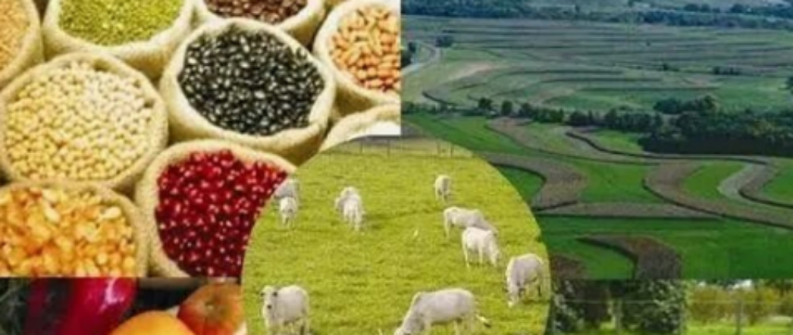 1xBET·Signup(中国区)-官方网站