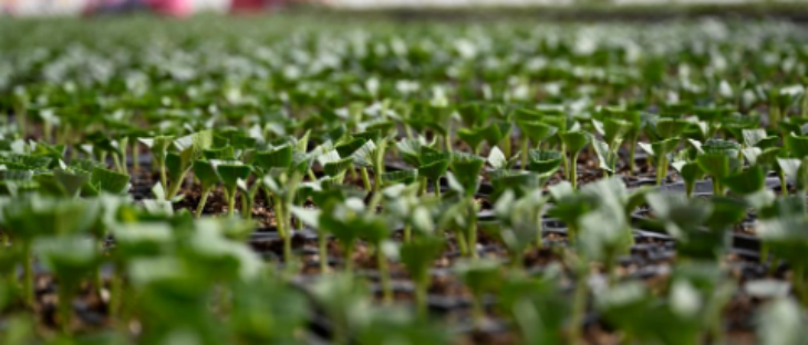 1xBET·Signup(中国区)-官方网站